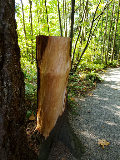 Park «Zumdieck Park», reviews and photos, 1500 108th Ave NE, Bellevue, WA 98004, USA