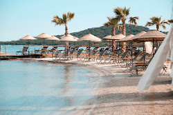 Cunda beach'in fotoğrafı #43 ile birlikte