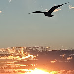 Photo n° 2 de l'avis de DOMINIQUE.' fait le 31/08/2022 à 10:04 pour La Croisette à Le Havre