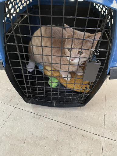 7721 Sepulveda Blvd, Van Nuys, CA 91405, USA