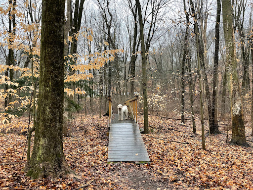 Nature Preserve «Cotton Hollow Preserve», reviews and photos, 493 Hopewell Rd, South Glastonbury, CT 06073, USA