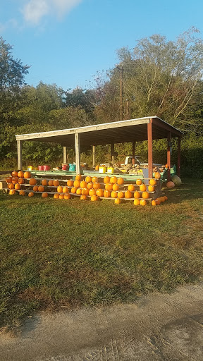 Grocery Store «Liepes Farm & Market», reviews and photos, 3135 S Cologne Ave, Mays Landing, NJ 08330, USA