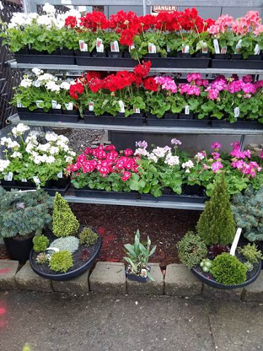 Hardware Store «McLendon Hardware», reviews and photos, 10210 16th Ave SW, Seattle, WA 98146, USA