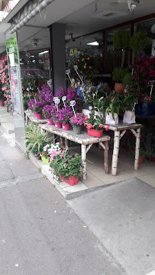 Fleuriste Interflora à Noisy-le-Sec