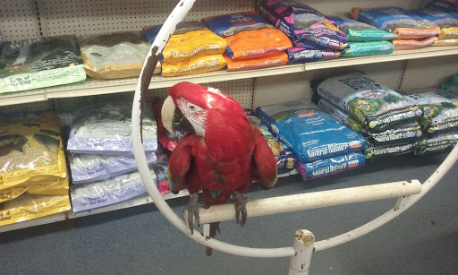 Tropical Fish Store «Midway Tropical Fish & Pets», reviews and photos, 24101 Pacific Hwy S, Kent, WA 98032, USA