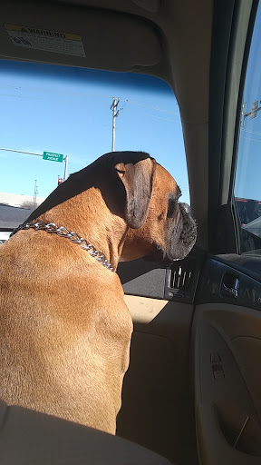 Pet Supply Store «PetSmart», reviews and photos, 2017 N Prospect Ave, Champaign, IL 61822, USA