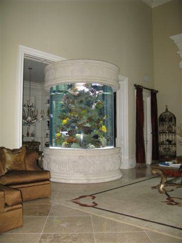 Tropical Fish Store «Premier Aquatics», reviews and photos, 1801 Roswell Rd, Marietta, GA 30062, USA