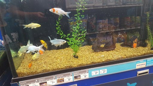 Pet Supply Store «Petco Animal Supplies», reviews and photos, 2640 W University Dr #1280, Denton, TX 76201, USA