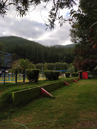 Opiniones de centro recreativo los aromos de patagual en Coronel - Restaurante