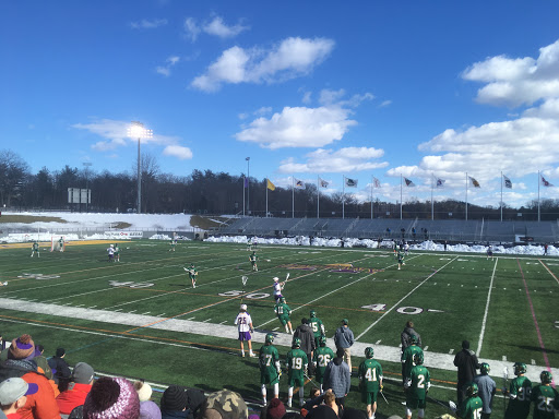 Stadium «Bob Ford Field At Tom & Mary Casey Stadium», reviews and photos, 1400 Washington Avenue, Albany, NY 12222, USA