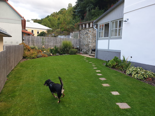 Vila Dorothea - Lekár