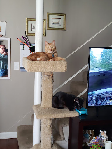 Pet Supply Store «PetSmart», reviews and photos, 5640 Cedar Lake Rd, Minneapolis, MN 55416, USA