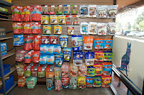 Protein for Pets - Photo 1 - Car repair in Rancho Cucamonga, CA, Fontana