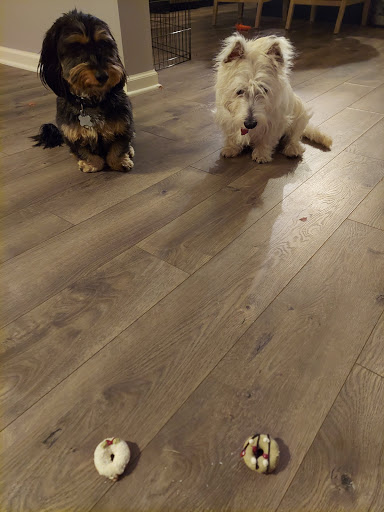 Pet Supply Store «Three Dog Bakery Inc», reviews and photos, 13904 Town Center Blvd # 200, Noblesville, IN 46060, USA