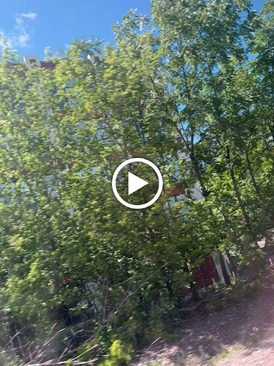 Community Center «Winnetka Community House», reviews and photos, 620 Lincoln Ave, Winnetka, IL 60093, USA