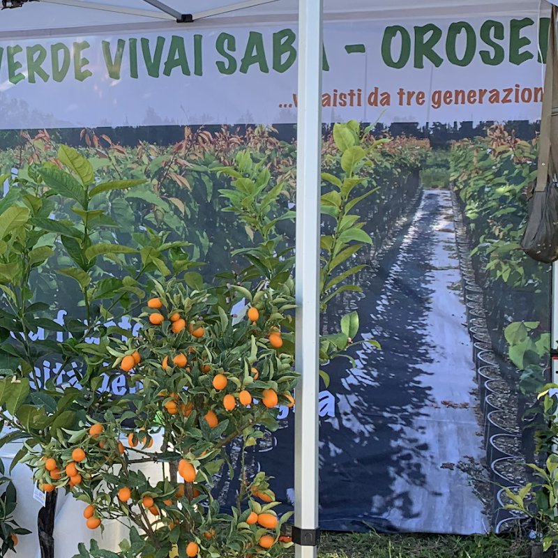Vita Verde - Vivai Saba