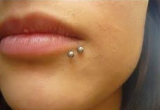 Explore labrador tattoo ideas, creative tattoo ideas in Valparaiso, available at Elysium Studios