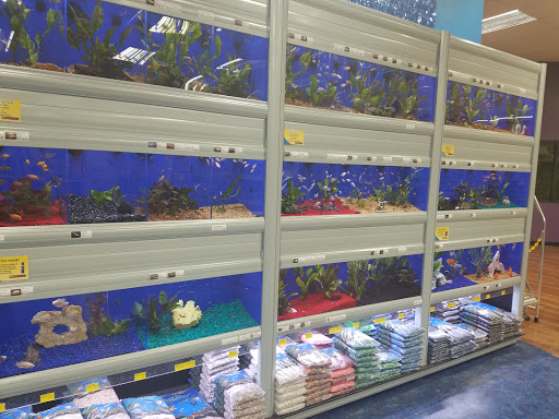 Pet Supply Store «Pet Supermarket», reviews and photos, 2090 E Arapaho Rd, Richardson, TX 75081, USA
