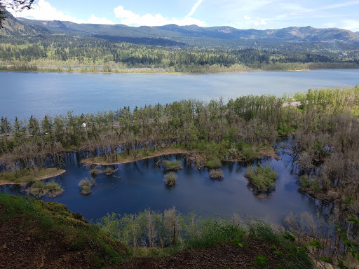 Waterfall «Horsetail Falls», reviews and photos, Historic Columbia River Hwy, Cascade Locks, OR 97014, USA