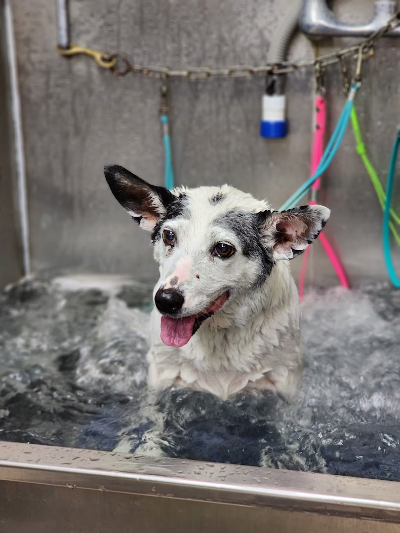 The Grooming Shop