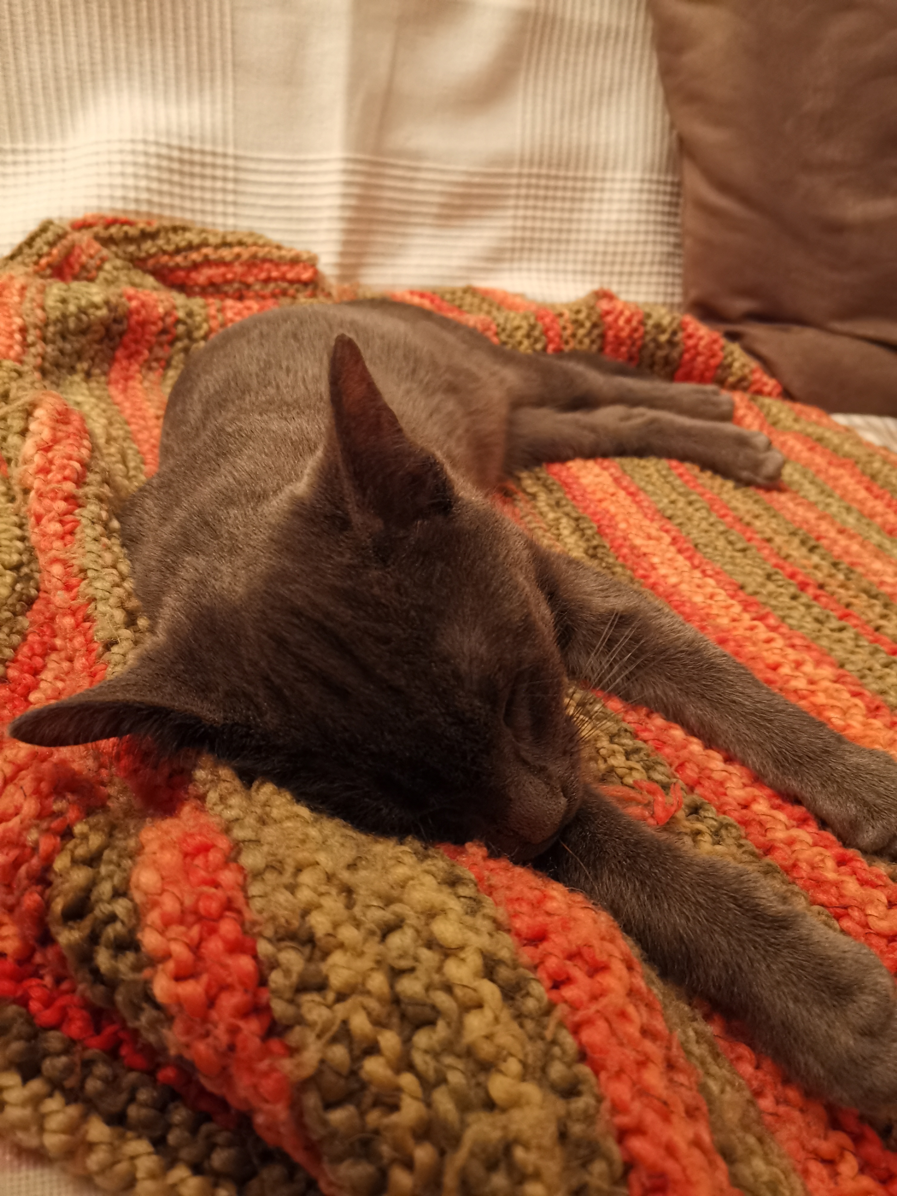 Photo n° 1 de l'avis de Yves.a fait le 21/01/2021 à 19:10
