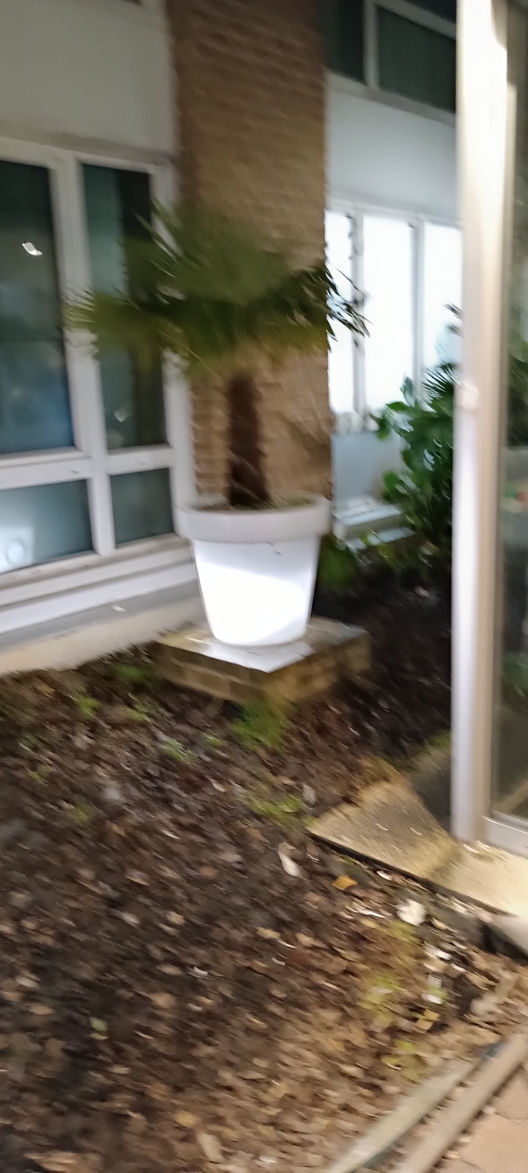 Photo n° 18 de l'avis de Didier.I fait le 10/12/2022 à 08:52