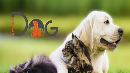 Veterinari