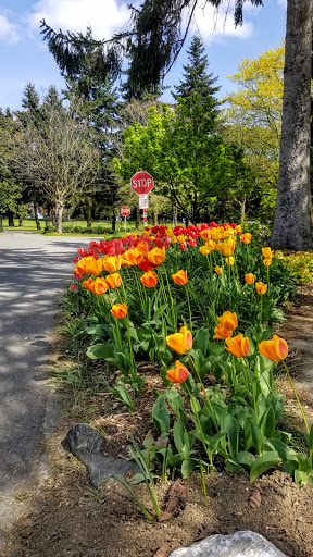 Golf Course «Jefferson Park Golf Course», reviews and photos, 4101 Beacon Ave S, Seattle, WA 98108, USA