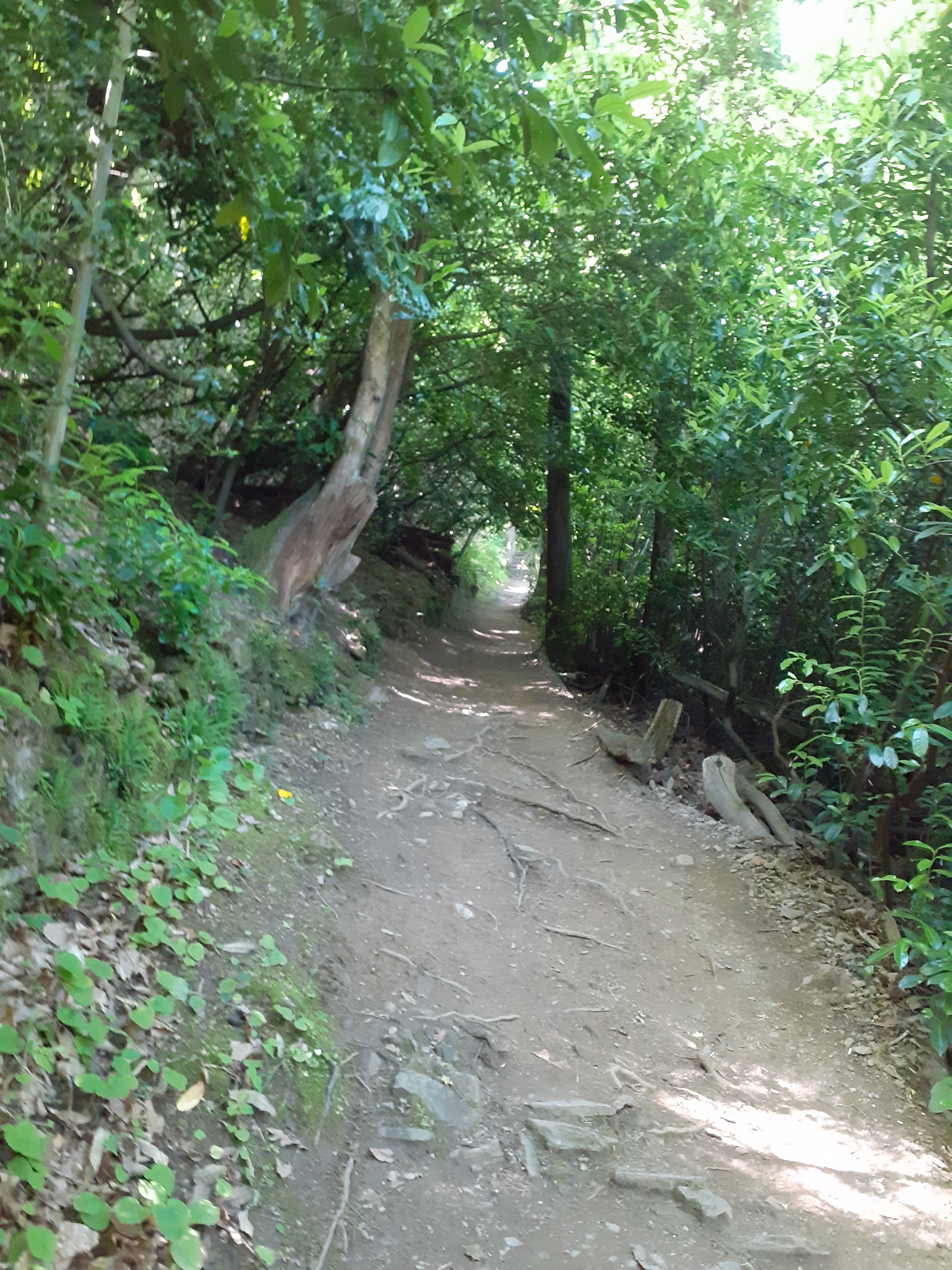 Photo n° 1 de l'avis de Chrystelle.a fait le 02/06/2021 à 15:11