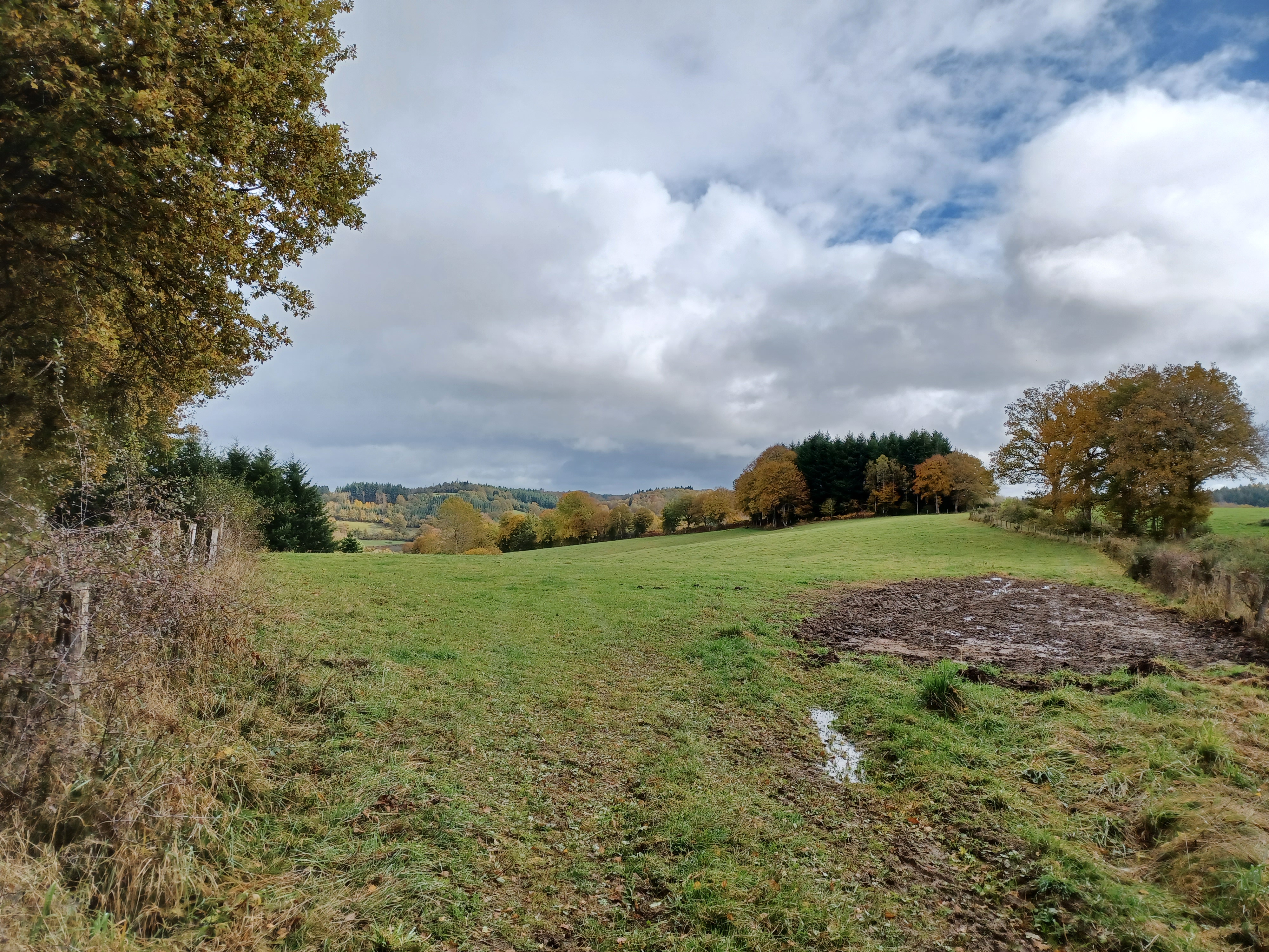 Photo n° 8 de l'avis de Anthony-Hyacinthe.r fait le 04/11/2021 à 06:40