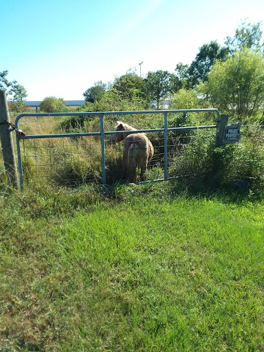 Trucking Company «XPO Freight», reviews and photos, 10975 Florida Crown Dr, Orlando, FL 32824, USA