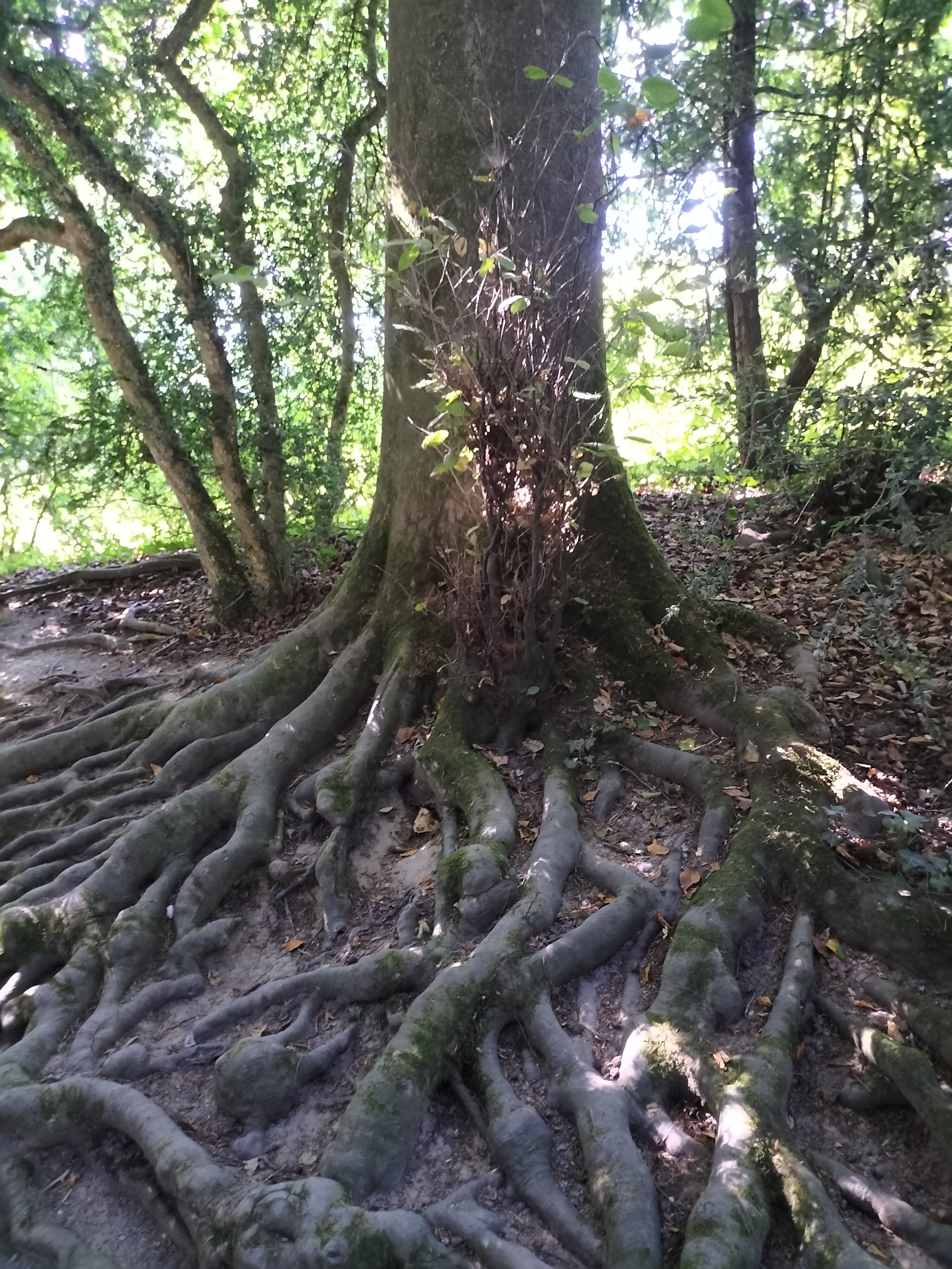 Photo n° 6 de l'avis de Elise.u fait le 08/09/2022 à 12:48