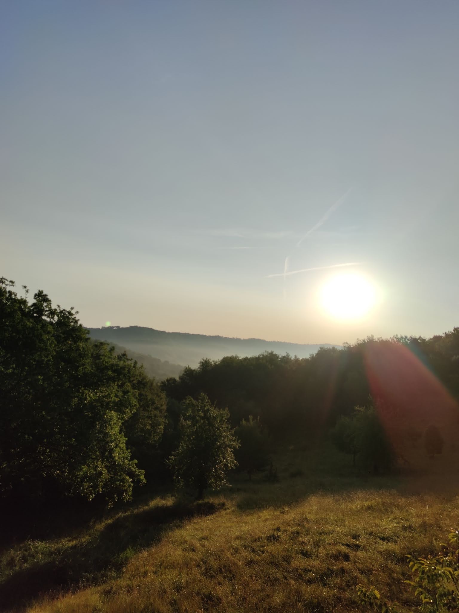 Photo n° 4 de l'avis de Loïc.H fait le 08/09/2021 à 11:05