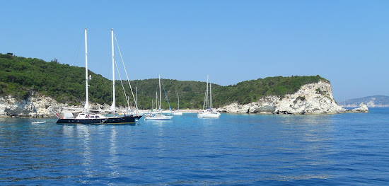 Antipaxon Marina