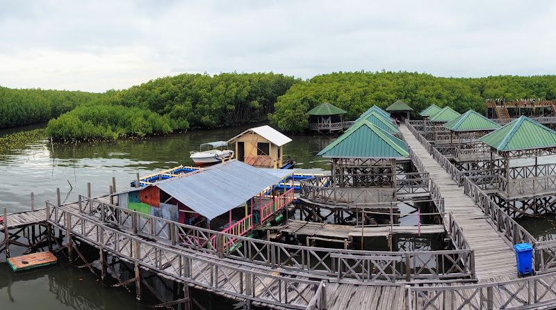 Hutan Mangrove Tongke-tongke