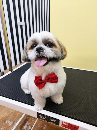 The Yellow Leash - Dog grooming Salon & Spa