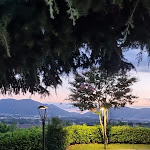 Photo n°2 de l'avis de Ciro.u fait le 09/07/2022 à 19:37 sur le  Agriturismo Bed and Breakfast La Vista Del Taburno à Montesarchio