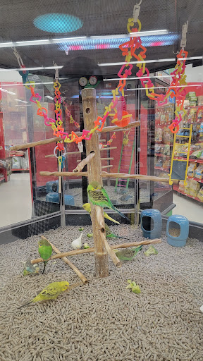 Pet Supply Store «Petco Animal Supplies», reviews and photos, 12960 Middlebrook Road #520a, Germantown, MD 20874, USA