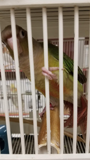 Pet Supply Store «Petco Animal Supplies», reviews and photos, 9230 Old Keene Mill Rd b, Burke, VA 22015, USA