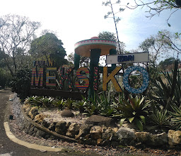Mexico Garden photo