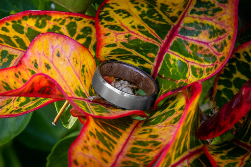 Jewelry Store «Titanium Buzz - Jewelry Store», reviews and photos, 111 N Bridge St, Linden, MI 48451, USA