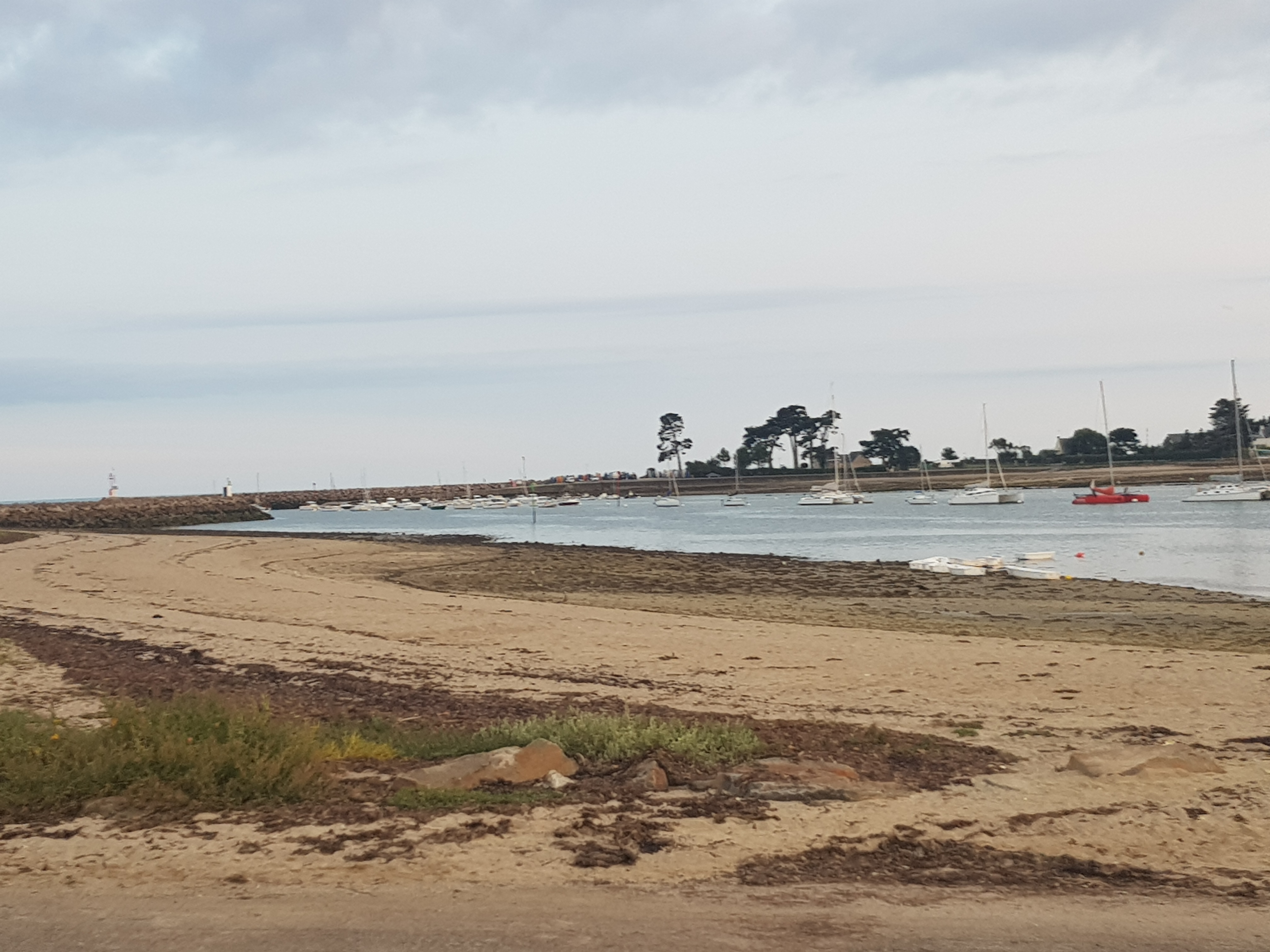 Photo n° 5 de l'avis de cedric.e fait le 23/08/2018 à 06:59