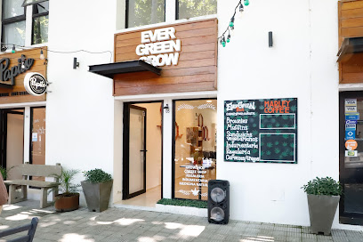Evergreen Culture coffee Shop Growshop