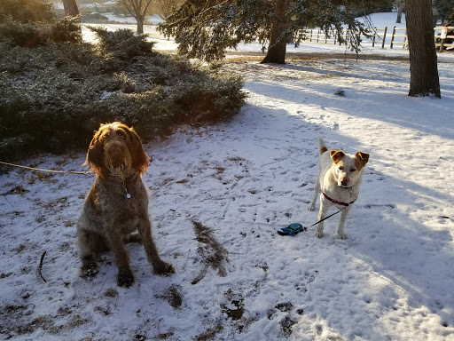 Golf Course «Harvard Gulch Golf Course», reviews and photos, 660 E Iliff Ave, Denver, CO 80210, USA