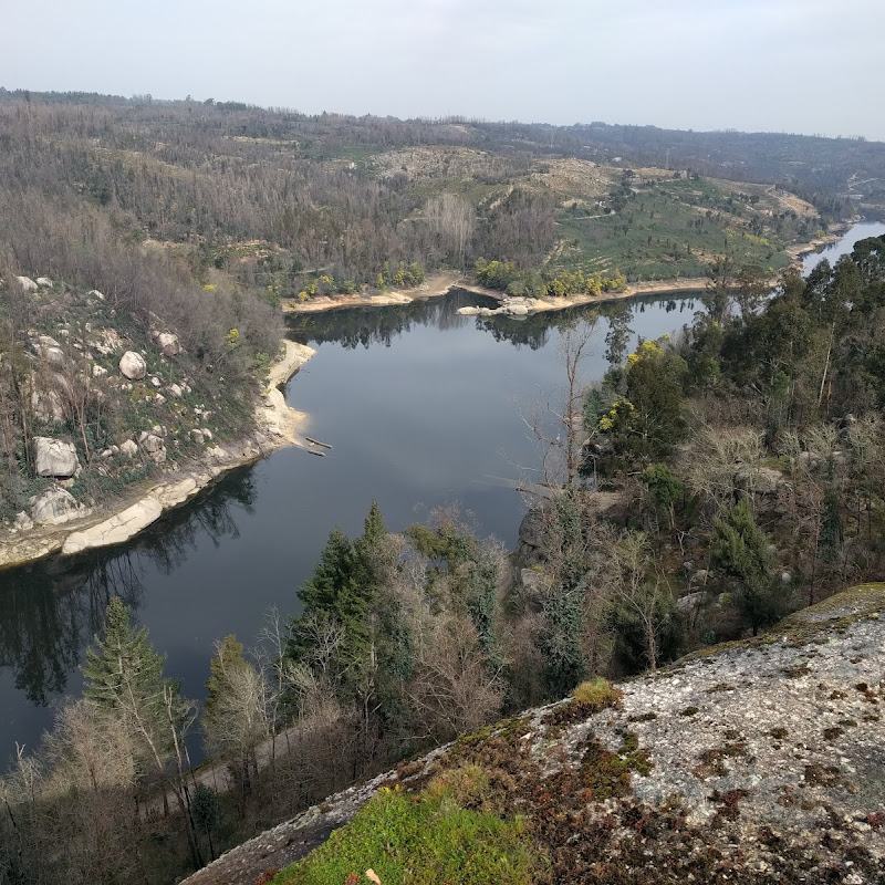 4 image