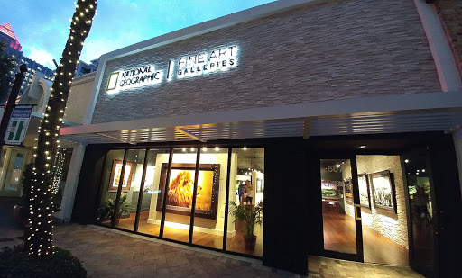 Art Gallery «National Geographic | Fine Art Galleries», reviews and photos, 607 E Las Olas Blvd, Fort Lauderdale, FL 33301, USA