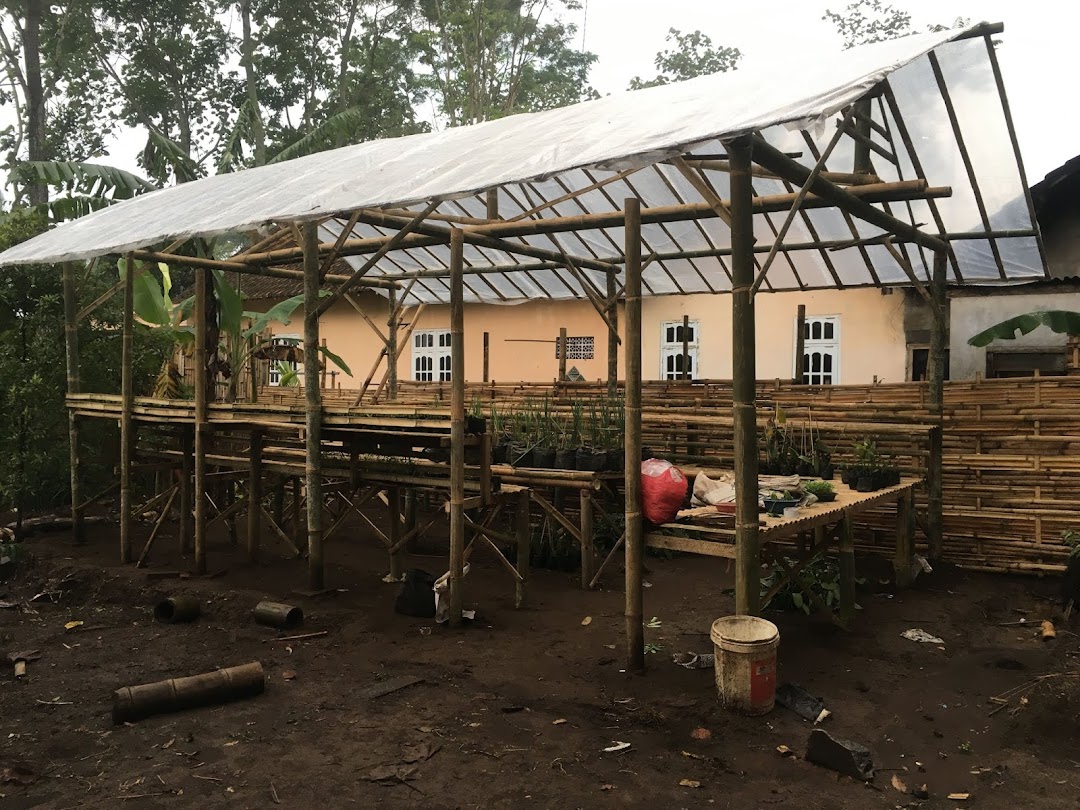 Dandio Farm 2