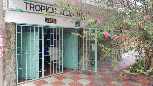 Tropical Acuarium