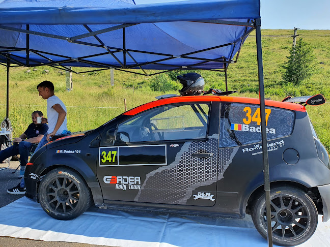 Opinii despre D&M Dani Service Auto în Sibiu - Service auto