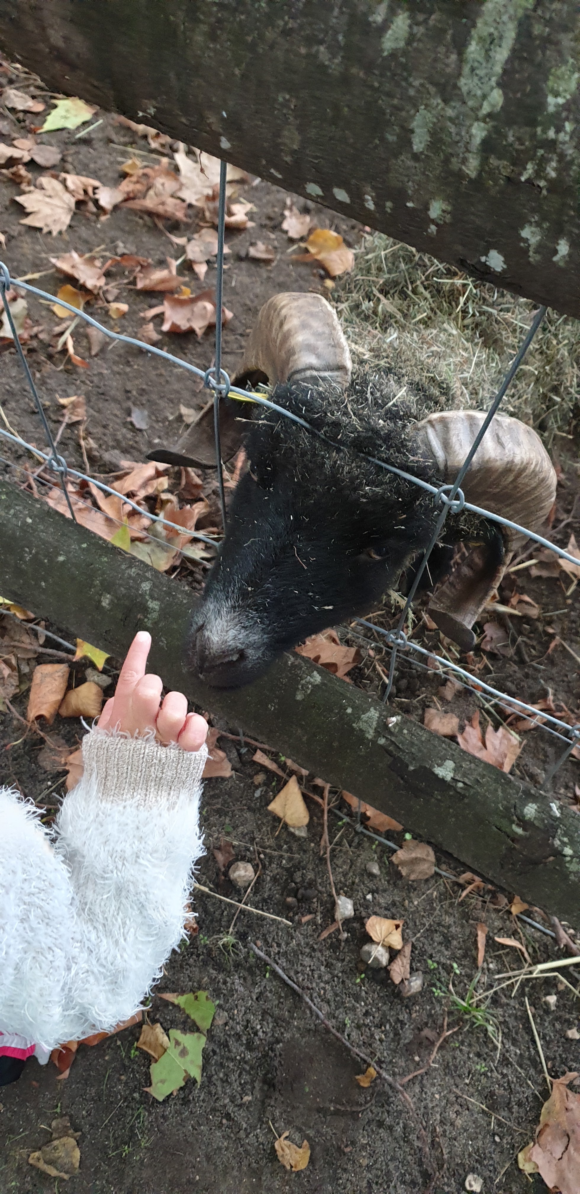 Photo n° 25 de l'avis de Julien.' fait le 23/10/2019 à 14:35